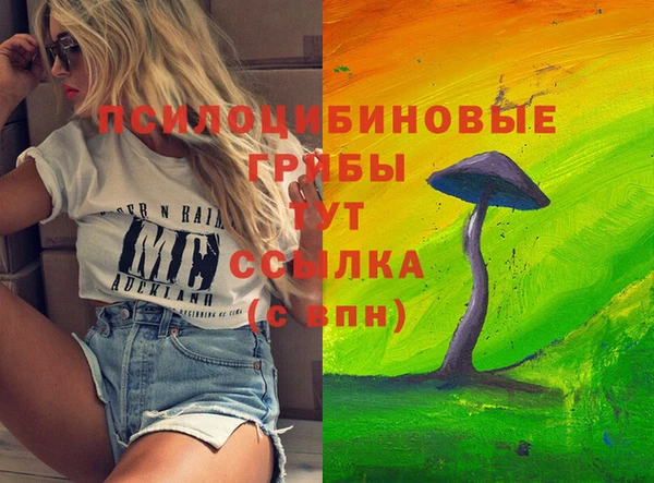 молекула духа Армянск