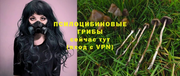 молекула духа Армянск