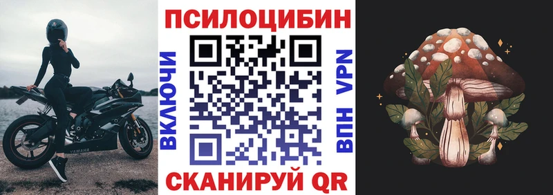 Псилоцибиновые грибы Cubensis  KRAKEN как войти  Белозерск 